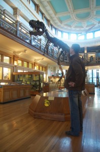 A dinosaur in the Redpath Museum