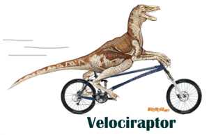 Velociraptor on a bicycle