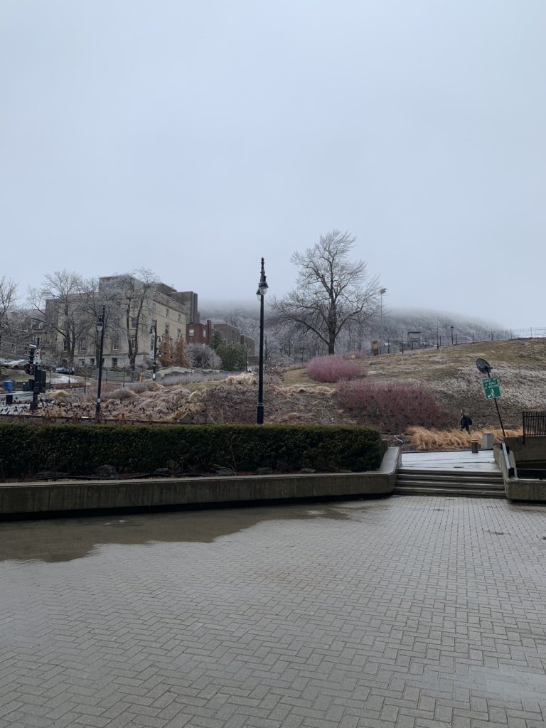2019 April 8; icy and foggy