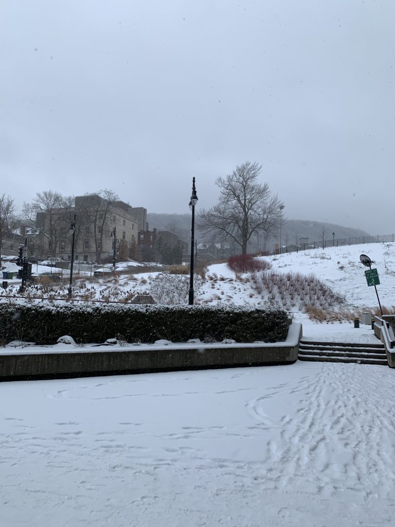 2019 April 9; snowy
